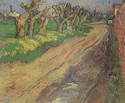 Vincent Van Gogh Pollard Willows (nn04) Spain oil painting reproduction